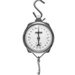 Salter Hanging Scale